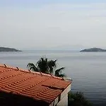 Chrysoula's