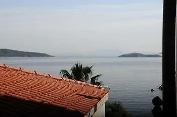 Chrysoula's