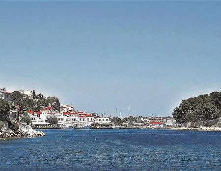 Cluborsa Chrysoula's